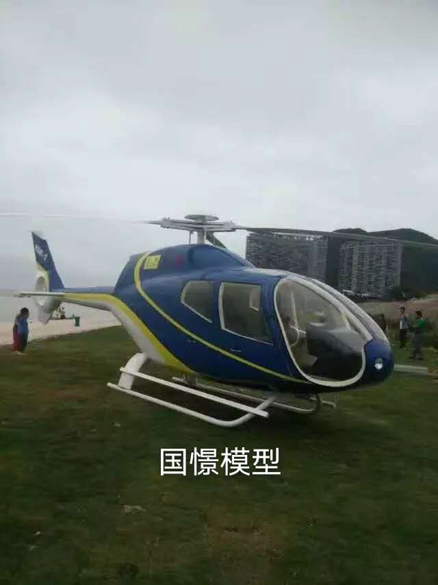 象山县飞机模型